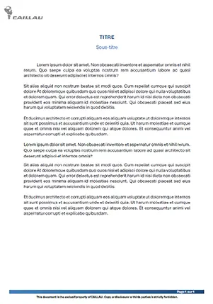 Modèle pour l'interne